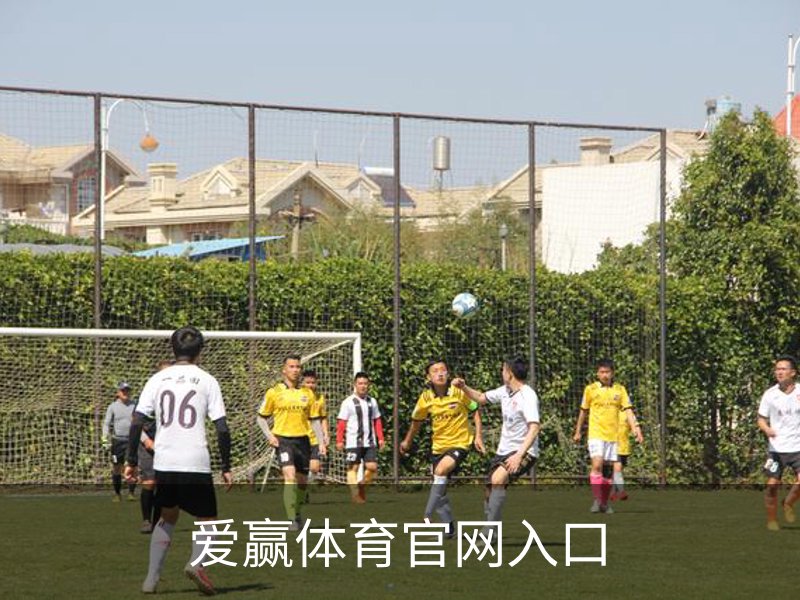 走进爱赢体育官网入口